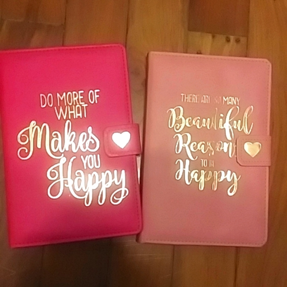 Two Pink Leather Journals